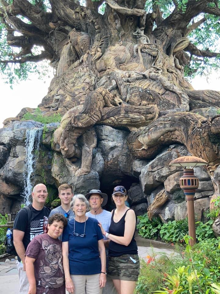 Adel Disney